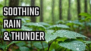 Forest Rain Asleep heavy thunder rain sounds - Soothing Rain | Music Therapy | Study , ASMR