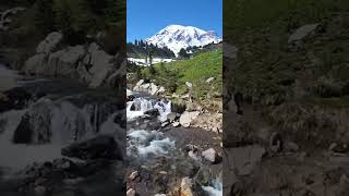 hiking at mount rainer