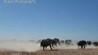 Amboseli National park