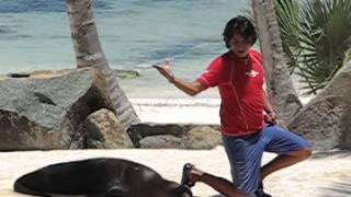 Sea Lion Show at Punta Cana, Dominican Republic, 2008.04.19