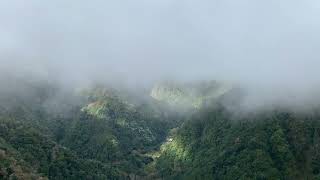 Levada Walk Through Laurisilva, to Balcoes Viewpoint