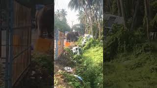 Elephant 🐘 attacking #shortvideo #2023 #kerala #elephant #attack