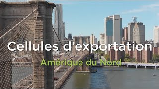 Propulsez votre entreprise en Amérique du Nord | Cellules d'exportation