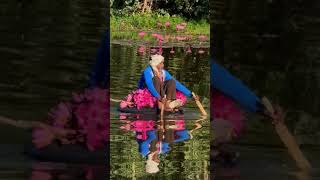 Pachmarhi lotus and floating on lake #shorts