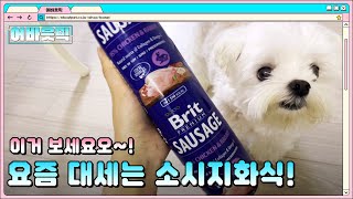 요즘 강쥐 뭐 먹음? 육류함량 95% 이상 프리미엄 소시지 화식 @시루튜브 리뷰ㅣ어바웃픽 브릿 (Brit)