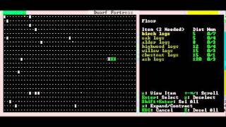 Let's play Dwarf Fortress 2