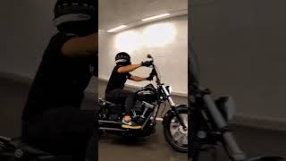 Harley Davidson Dyna Softail #fyp #cruiser