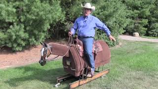 Right Lead Canter Departure - Steve Lantvit Horseman's Minute with the Equicizer