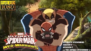 Wild Spider Man Vs Wolverine and Sabertooth.