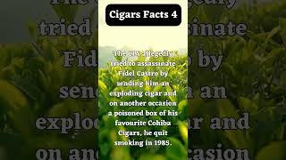 Cigars facts 4