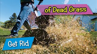 Get Rid of That Dead Grass