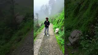 pahad pahad pahad #nainitaltrek #chinapeak #mukteshwarvlog #dailyvlog