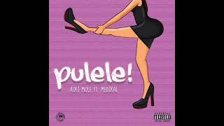 Kofi Mole ft. Medikal - Pulele!