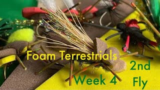 Foam Terrestrials Week 4 2nd Fly