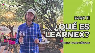 ¡Refuerza el Idioma Inglés con nuestros Learning Tours especialmente diseñados para ti!