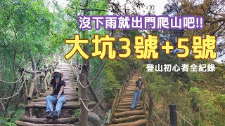 2022重新開放大坑3號步道 | 頭嵙山 | 台中小百岳 | 登山健行【今天休息中】vitavira