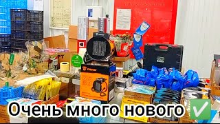 СВЕТОФОР🚦 ТОЛПЫ ЛЮДЕЙ❗ГОРЫ НОВИНОК👍 ОБЗОР Октябрь 2024