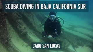 Scuba Diving in Baja California