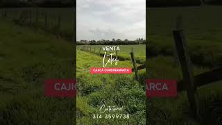 Con áreas de 1.525 m² y 2.608 m². Comunícate ahora 📱 314 3599738 #fincaraiz #ventas #lotesenventa