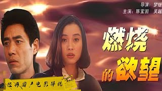 【#电影解说】燃烧的欲望｜虐恋！！！姐姐去世，女子却对姐夫动情