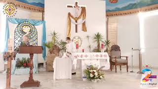 Santa Misa-Miércoles 25 de mayo-sexta semana de pascuaDel santo Evangelio según san Juan 16, 12-15