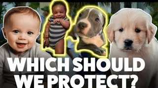 When We choose puppies over babies politics has destroyed the United States