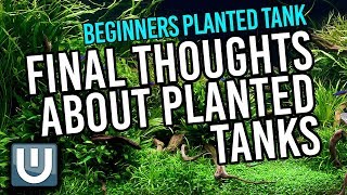 Planted Tanks Beginners - Final Thoughts | Part 4