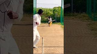 How many boundaries have you hit in the last match? #cricket #youtubeshorts #trending