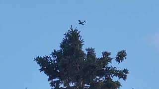 Piper PA-28-140 (C-FAUW) Flying at 2,500 ft