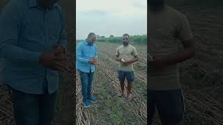 Volium flexi... Result sugarcane crop Dr O P Pandey