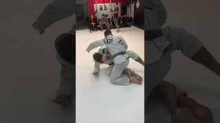 Octopus Guard sweep and Back take #jiujitsu #octopusguard #moncaiobrothersbjj