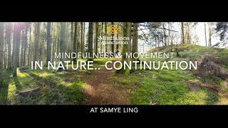 Mindfulness and Movement in Nature part 2