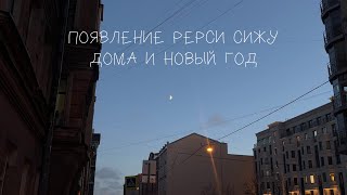 влог 3 — подготовка к щенку / восстановление после операции