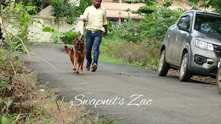 Swapnil's Zac|Timmy Zelwalderand X Swapnil's Viela |