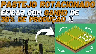 Pastejo Rotacionado eficaz com Ganho de até 30% na Produção !!