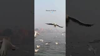 Nature Beauty || Banaras Ganga || Spirit