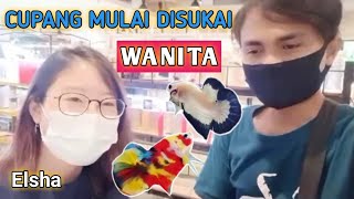 IKAN CUPANG DISUKAI WANITA