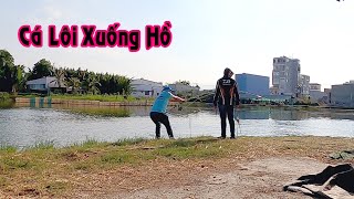 Cuối Ngày Bò Nổ Cái Đùng Muốn Lôi Xuống Hồ Luôn Quá Cảm Giác