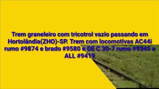 Trem graneleiro com tricotrol vazio passando em Hortolândia(ZHO)-SP.