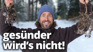 Die gesündeste Pflanze Deutschlands! Wie du die Brennnessel auch im Winter nutzt