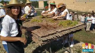 LA MESA DE LAS FIESTAS-L´ESCALDÁ DEL RAÏM I ELS RIURAUS-UN PASEO POR MASSARROJOS-MONCADA