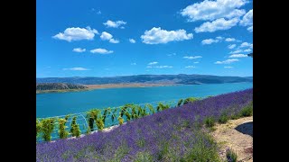 Yozgat Çekerek Millet Bahçesi & Lavanta Adası