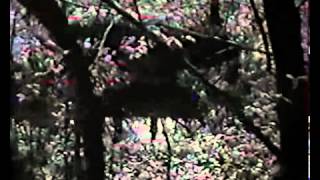 Film dokumentalny Sprawiedliwi z 1968 _ 2011 r. - II WŚ - Polacy - Żydzi(360p_VP8-Vorbis).webm