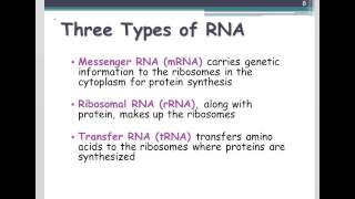 Introduction to RNA