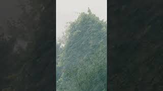 beautiful rain with natural sound