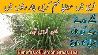 Benefits of Lemon Grass Tea | Weight Loss tea | What are the best teas for losing weight,