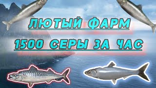 РУССКАЯ РЫБАЛКА 4 НОРВЕЖСКОЕ МОРЕ САРДИНА ЕВРОПЕЙСКАЯ ФАРМ 1500 СЕРЕБРА В ЧАС