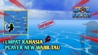 Tempat rahasia di blox fruit Menurutku Player baru wajib tau!!