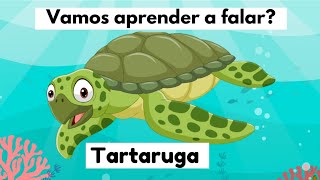 Tartaruga 🐢!! Aprendendo a falar tartaruga!