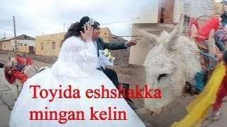 TO'YIDA // KELINNI ESHAK ARAVAGA MINDIRDI